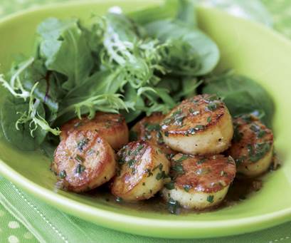 scallops in herbed butter sauce